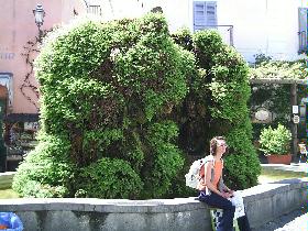 Rast am Brunnen in Forio